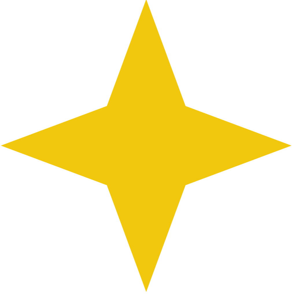 North Star Icon